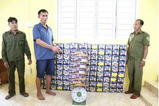 Bắt giữ đối tượng buôn bán gần 340 kg pháo nổ trái phép và tàng trữ ma túy