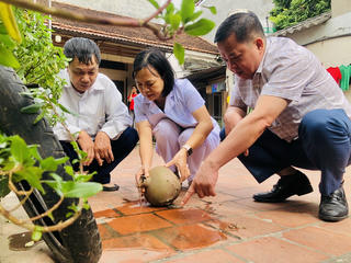 Hà Nội: Gần 400 ca mắc sốt xuất huyết trong tuần, tăng cường kiểm soát ổ dịch