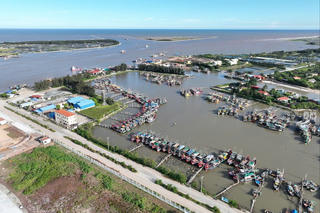 Ninh Bình quyết liệt triển khai nhiều biện pháp cùng cả nước gỡ bỏ cảnh báo 'thẻ vàng' của EC