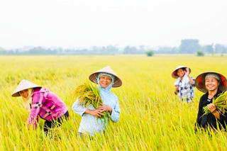 Những quyết sách chiến lược: 'Đòn bẩy' xóa nghèo bền vững