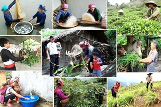 Từ ý Đảng đến lòng dân - Hành trình giảm nghèo toàn diện