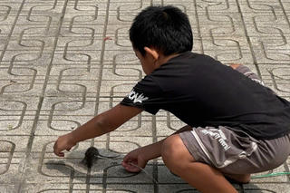 Câu chuyện về bé Bi và người bạn nhỏ bên bờ sông