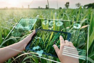 Hai sự cố liên quan nông dân và yêu cầu phát triển nông nghiệp bền vững
