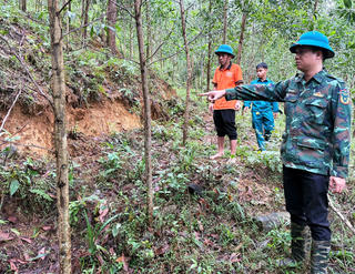 Phát hiện vết nứt dài hơn 100m trên đỉnh núi, xã vùng cao ở Đà Nẵng ban hành thông báo khẩn