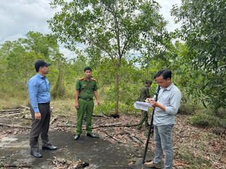 Kiên quyết xử lý các vụ bao chiếm đất rừng phòng hộ tại đặc khu Phú Quốc, tỉnh An Giang