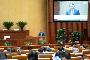 Thừa hành viên không thực hiện các nhiệm vụ liên quan đến quyền lực công