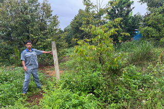 Vụ kiện tặng cho đất liên quan 3 thế hệ tại Đồng Nai