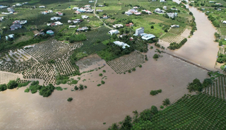 Rà soát các khu vực có nguy cơ sạt lở, lũ quét ở Lâm Đồng trước bão số 13
