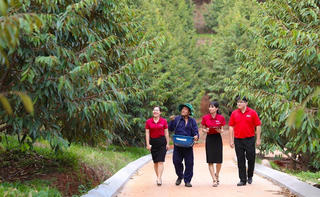 Agribank xanh hóa tín dụng – 'Cầu nối' để phát triển năng lượng xanh tại Việt Nam