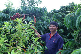 Người đánh thức “hương vị” từ đất Tà Nung