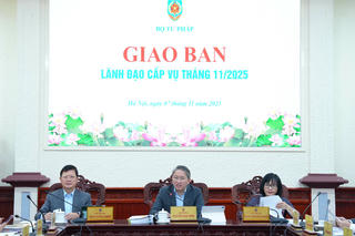 Triển khai các công việc đảm bảo chất lượng, tiến độ