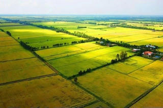 Trường hợp nào được miễn thuế sử dụng đất nông nghiệp đến hết ngày 31/12/2030?