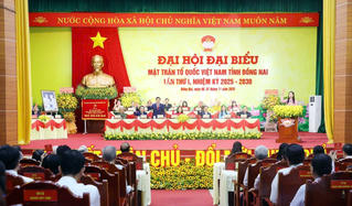 Chung sức xây dựng Đồng Nai xanh, giàu mạnh, văn minh, hiện đại