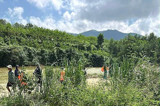 Quảng Trị: Tìm thấy thi thể người đàn ông mất tích khi đi chăn bò ở sông Dinh