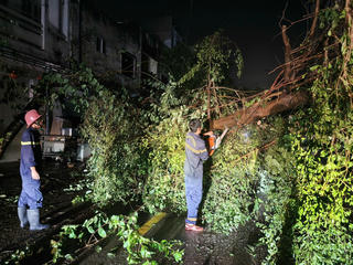 Gia Lai khẩn trương khắc phục hậu quả bão số 13