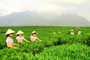 Nhiều hoạt động thú vị trong Ngày hội sản phẩm vùng đồng bào dân tộc thiểu số và miền núi phía Bắc năm 2025