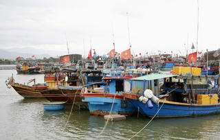 “Hành động thực chất - Gỡ thẻ vàng IUU” - 
Đề xuất quản lý hạn ngạch khai thác theo từng tàu, từng nghề