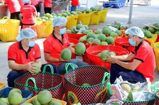 Thúc đẩy chuỗi giá trị xanh, tăng sức cạnh tranh cho nông sản