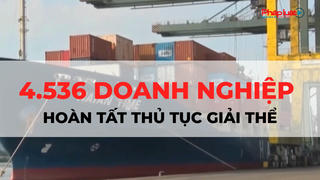 Hơn 190.000 doanh nghiệp rời khỏi thị trường từ đầu năm
