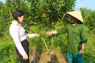 Thái Nguyên đẩy mạnh thực hiện mục tiêu giảm nghèo bền vững