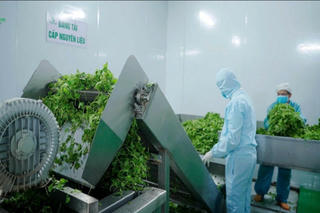 Nông sản sạch: Từ trang trại đến bàn ăn - 
Bài 2: Xây dựng chuỗi liên kết bền vững, khẳng định uy tín, thương hiệu nông sản Việt