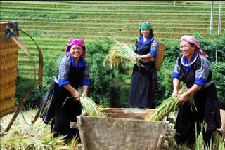 Công tác giảm nghèo trước thách thức biến đổi khí hậu