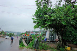 Gia Lai chủ động ứng phó với mưa lũ 