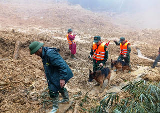 Sạt lở kinh hoàng ở Đà Nẵng: Quân khu 5 huy động chó nghiệp vụ, nỗ lực tìm nạn nhân