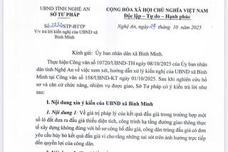 Sở Tư pháp Nghệ An hướng dẫn phương án xử lý sau đề nghị hủy kết quả đấu giá 30 lô đất vì thực tế không đúng như quy hoạch
