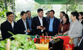 Bắc Ninh định hướng phát triển các mô hình nông nghiệp giá trị cao tại Tân Yên và Phúc Hòa
