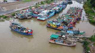 Ninh Bình chủ động ứng phó với rét đậm, rét hại và gió mạnh trên biển