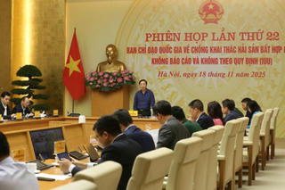 Xử lý triệt để các vi phạm khai thác IUU còn tồn đọng