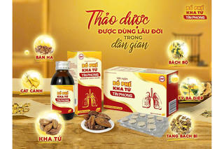 Bổ Phế Kha Tử Tín Phong: Có thành phần và công dụng gì?
