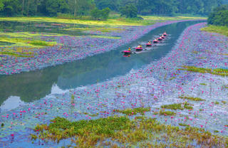 Ninh Bình tổ chức chương trình "Sắc Hồng Tam Cốc 2025 - bản tình ca mùa thu"