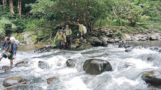 Tăng cường phòng, chống tội phạm về đa dạng sinh học trên địa bàn Nghệ An