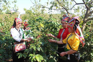 Mùa no ấm trên rẻo cao Sơn La