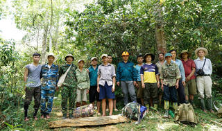 Nghệ An: Lâm nghiệp khởi sắc, giữ vững vị thế top đầu cả nước về diện tích rừng