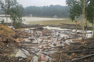 Video: Hồ thủy điện Bình Điền (Huế) đón lượng gỗ lớn sau mưa lũ