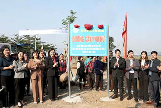 Gắn biển công trình "Đường cây phụ nữ" chào mừng đại hội đại biểu MTTQ tỉnh Ninh Bình