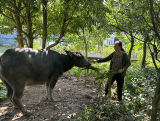 Nguồn lực đồng bộ tạo chuyển biến mạnh trong giảm nghèo Thái Nguyên