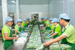 Ứng dụng công nghệ cao 'đòn bẩy' thúc đẩy HTX hướng đến sản xuất xanh, bền vững