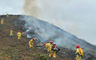 Thái Nguyên chủ động các giải pháp phòng cháy chữa cháy rừng mùa khô