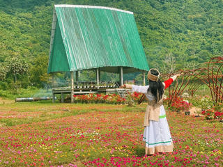 Bức tranh năng lượng – nở hoa cùng đất trời