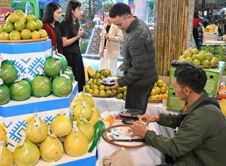 Đoàn kiểm tra liên ngành của BCĐ 389 TP Hà Nội: Vượt khó, nỗ lực hoàn thành nhiệm vụ vì lợi ích người tiêu dùng