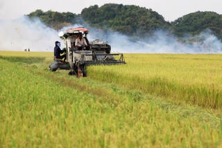 Thanh Hóa đổi mới phương thức sản xuất, lan tỏa mô hình nông nghiệp hiệu quả