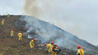Thái Nguyên nâng cao hiệu quả quản lý, bảo vệ và phát triển rừng