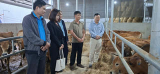 Từ Châu Bình đến Hùng Chân khởi sắc, vươn lên từ mô hình sinh kế Chương trình MTQG