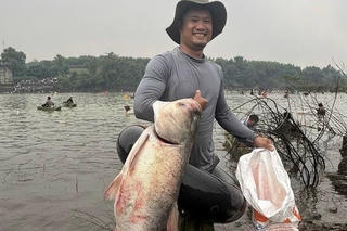 Người dân tấp nập săn cá tra, cá lăng nặng hơn 15kg dưới chân đập hồ Trị An