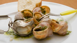 Một trang trại ở Pháp thiệt hại hơn 2,7 tỷ đồng vì 450kg ốc sên thượng hạng "bốc hơi"
