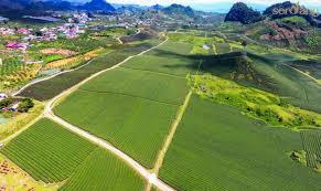 Phát huy, bảo vệ giá trị nguồn tài nguyên đất hiếm
